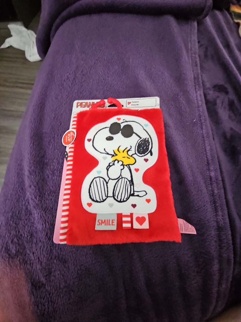 Peanuts Snoopy Baby's First Photo Book Red Smile